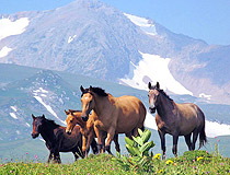 The Adygeya Republic in Russia