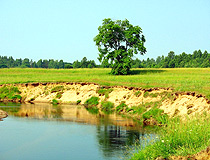 Novgorod Oblast scenery